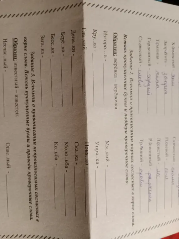 Вспомни правописание парных согласных в корне слова и непроизносимых согласных в корне слова. Вставь пропущенные буквы и приведи проверочные слова.