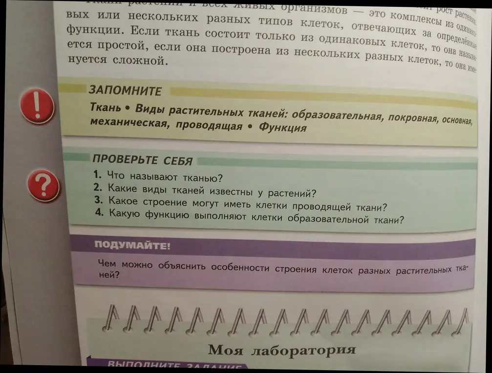 Ответь на вопросы: Что называют тканью? Какие виды тканей известны у растений? Какое строение могут иметь клетки проводящей ткани? Какую функцию выполняют клетки образовательной ткани?
