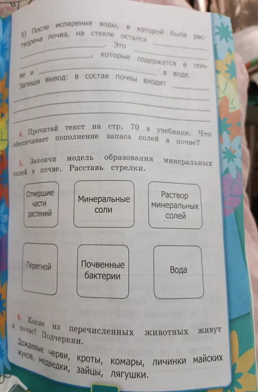 Закончи модель образования минеральных солей в почве и ответь на другие вопросы
