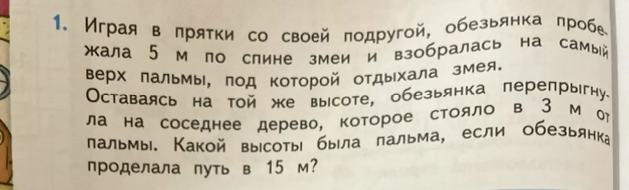 Определи высоту пальмы, если обезьянка проделала путь в 15 м, 5 м по спине змеи, поднялась на высоту h - 5 м и перепрыгнула 3 м до соседнего дерева.