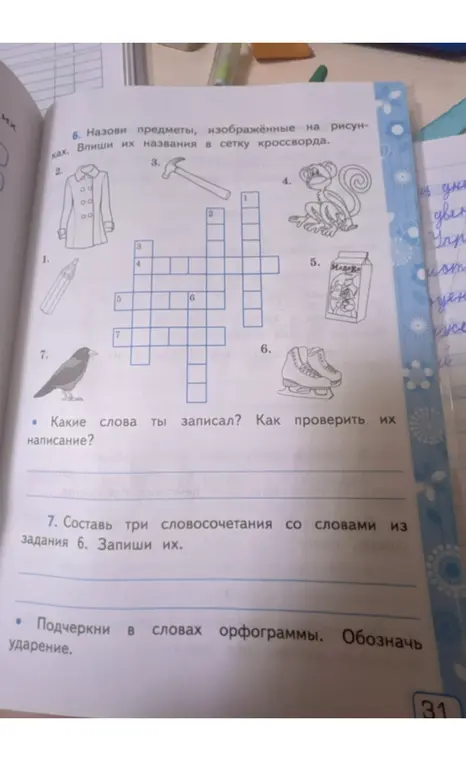 Назови предметы, изображённые на рисунках, впиши их названия в сетку кроссворда, составь три словосочетания со словами из задания 6, подчеркни в словах орфограммы и обозначь ударение.