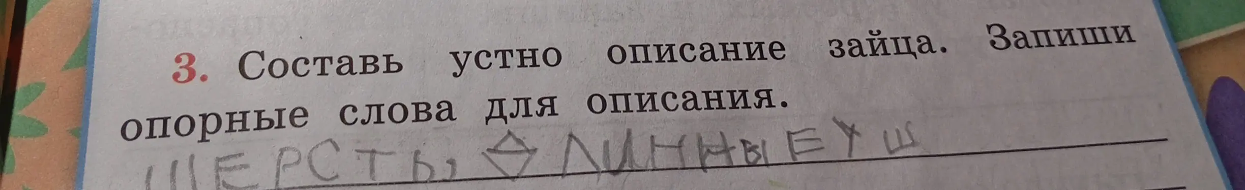 Составь устно описание зайца, запиши опорные слова для описания.