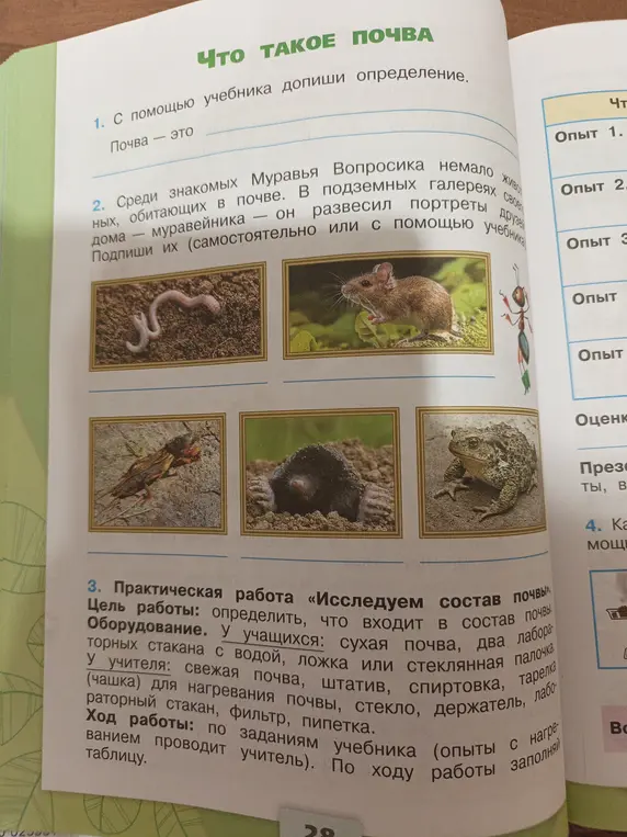С помощью учебника допиши определение почвы и подпиши обитателей почвы.