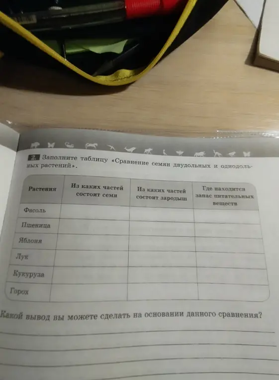 Заполни таблицу «Сравнение семян двудольных и однодольных растений».