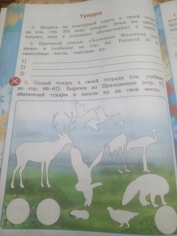 Раскрась зону тундры на контурной карте, прочитай статью и озаглавь её части, вырежи фигурки обитателей тундры и размести их в своей тетради.