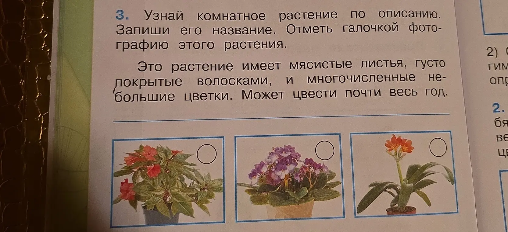 Узнай комнатное растение по описанию, запиши его название и отметь галочкой фотографию этого растения.