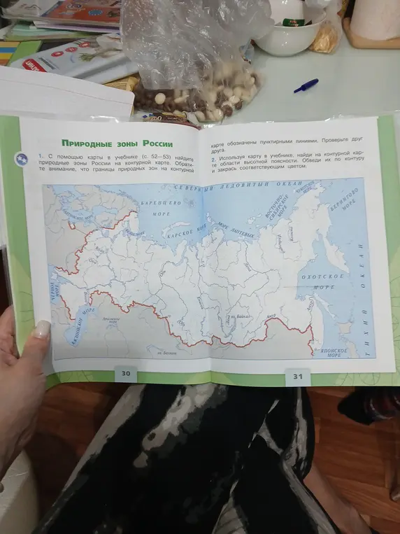 С помощью карты в учебнике найди природные зоны России на контурной карте и области высотной поясности, обведи их по контуру и закрась цветом.
