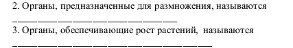 Заполни пропуски в предложениях об органах растений.