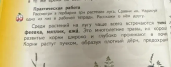 Рассмотри в гербарии три растения луга, сравни их и нарисуй одно из них в рабочей тетради. Расскажи о нём другу.