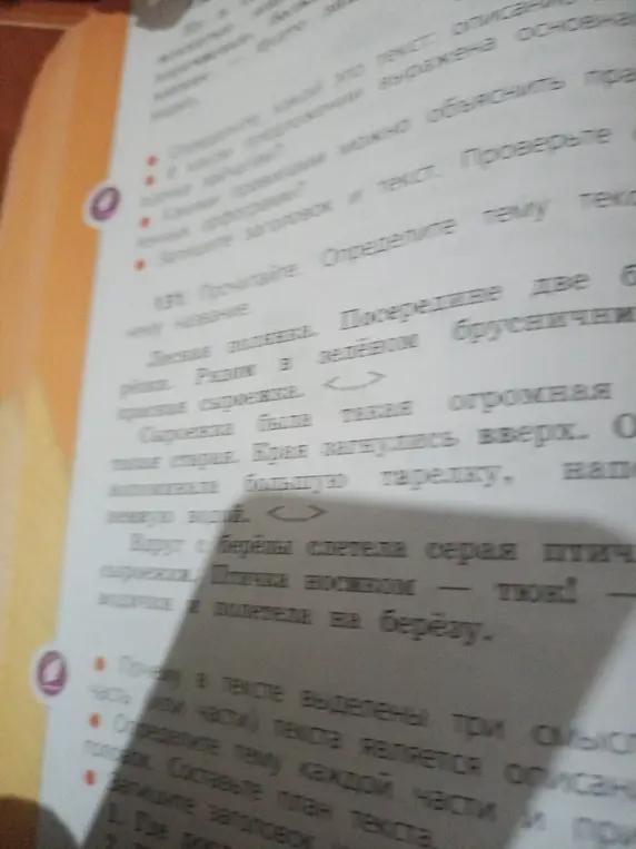 Определи тему текста, какой частью текста является описание, определи тему каждой части, составь план текста и запиши заголовок.