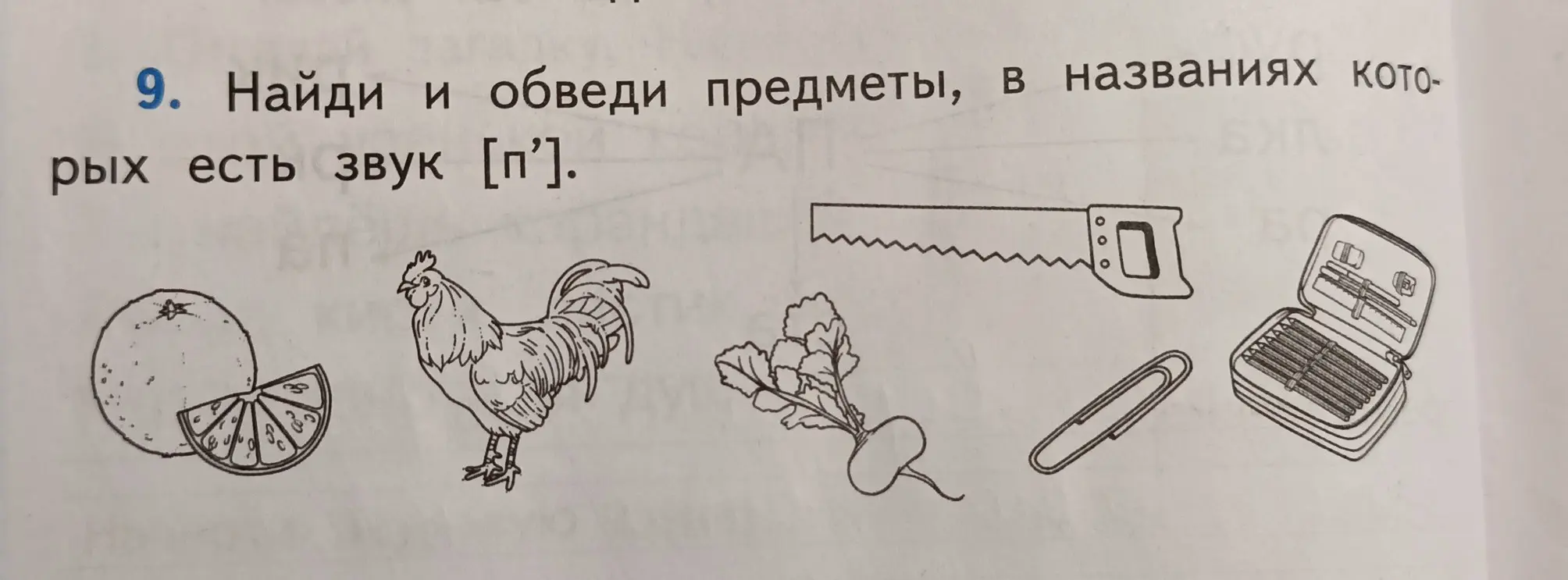 Найди и обведи предметы, в названиях которых есть звук [п'].