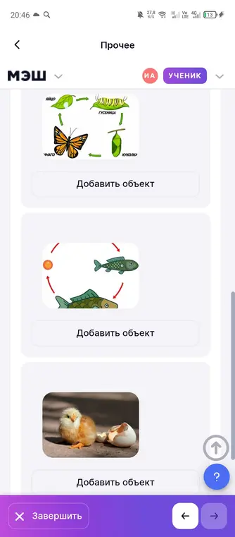 Определи, что изображено на картинке.