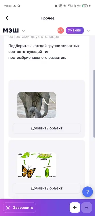 Подбери к каждой группе животных соответствующий тип постэмбрионального развития.