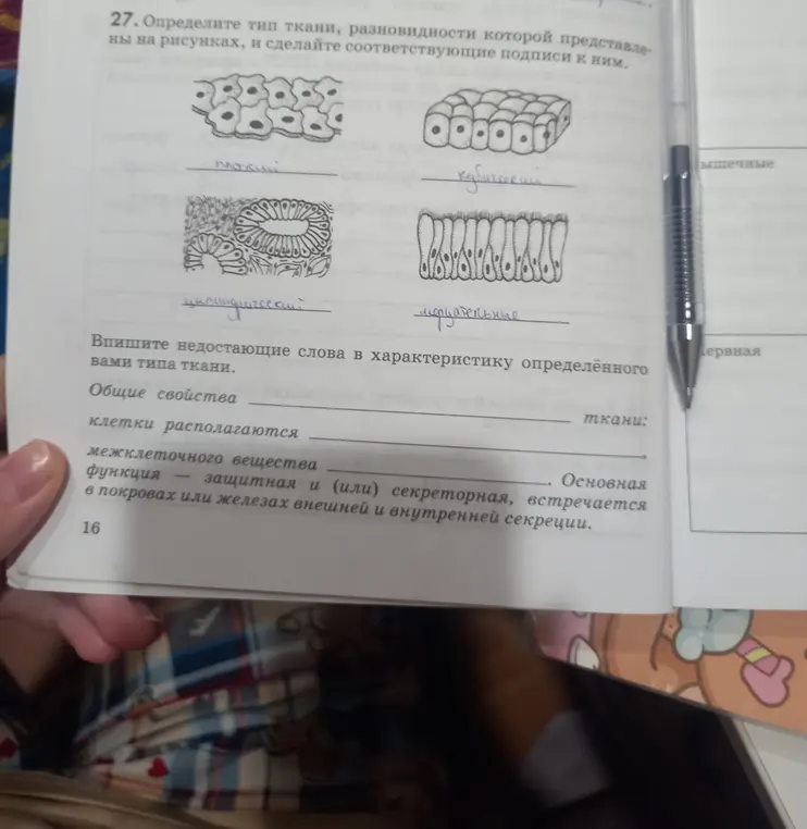 Определи типы ткани на рисунках и сделай соответствующие подписи к ним. Впиши недостающие слова в характеристику определённого типа ткани.