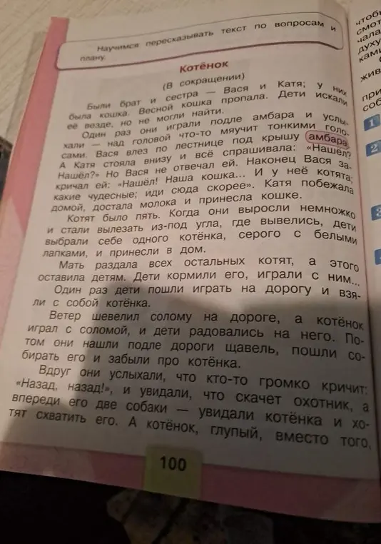 Ответь на вопросы по рассказу "Котёнок".