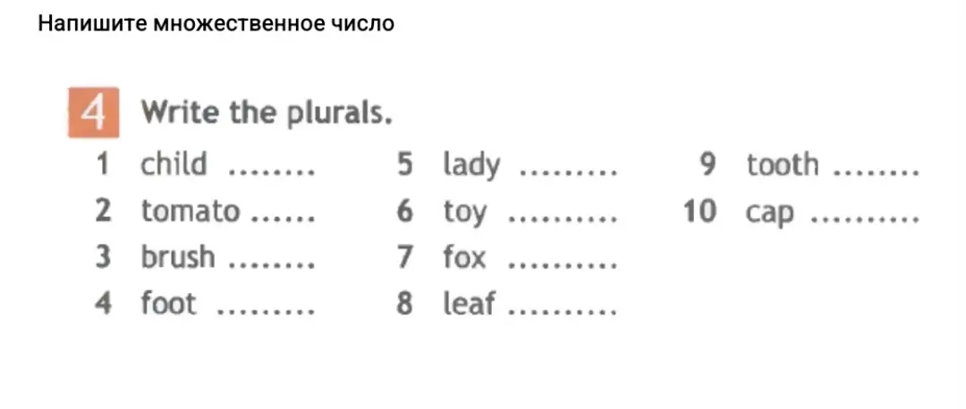 Напиши множественное число.