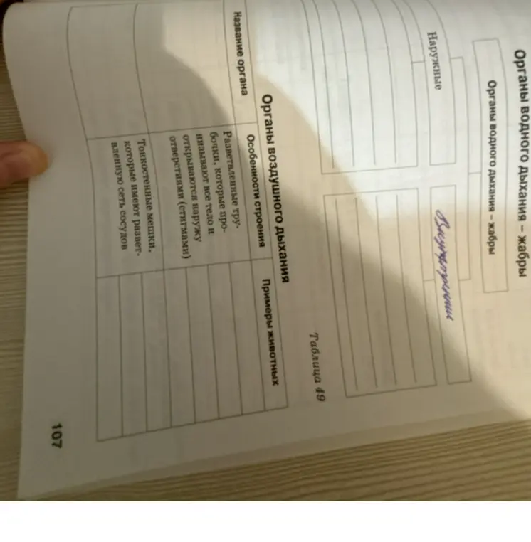 Заполни таблицу про органы дыхания животных.