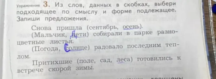 Из слов в скобках выбери подходящее подлежащее и запиши предложения.