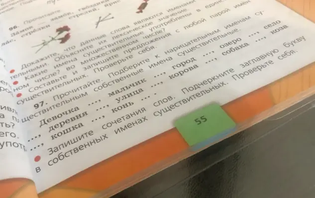 Прочитай задание. Подбери к нарицательным именам существительные собственные имена существительные и запиши сочетания слов.