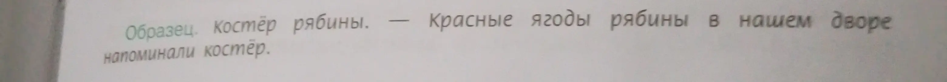 Сделай разбор предложения: Образец. Костёр рябины. – Красные ягоды рябины в нашем дворе напоминали костёр.