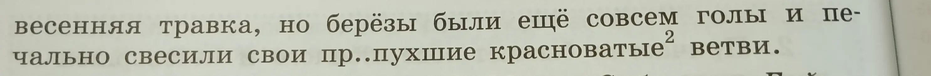 Найди причастие в тексте.