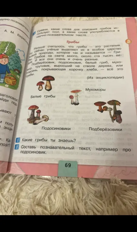 Какие грибы ты знаешь?