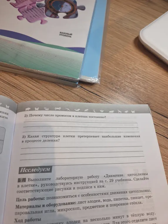 Ответь на вопросы: почему число хромосом в клетках постоянно и какая структура клетки претерпевает наибольшие изменения в процессе деления; выполни лабораторную работу.