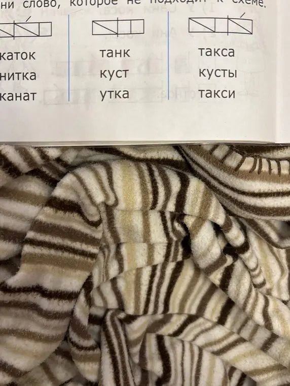 Определи слово, которое не подходит к схеме.