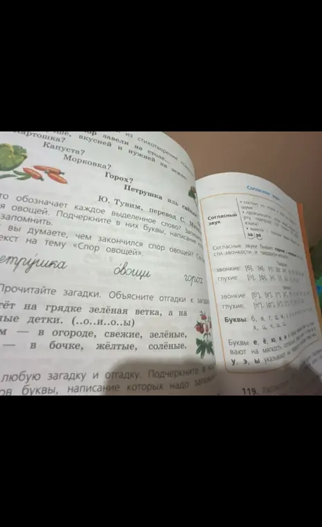 Определи, что обозначают выделенные слова, запиши слова овощей и подчеркни буквы, написание которых надо запомнить. Прочитай и объясни загадки, подчеркни буквы, написание которых нужно запомнить.
