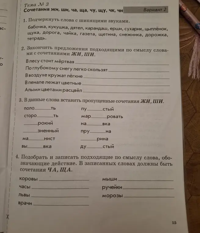 Выполни упражнения на сочетания ЖИ, ШИ, ЧА, ЩА.