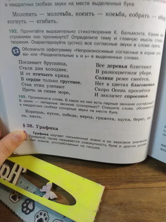 Спиши слова, обозначь в квадратных скобках сонорные звуки на месте букв. Определи, в каких словах есть парные звонкие согласные.