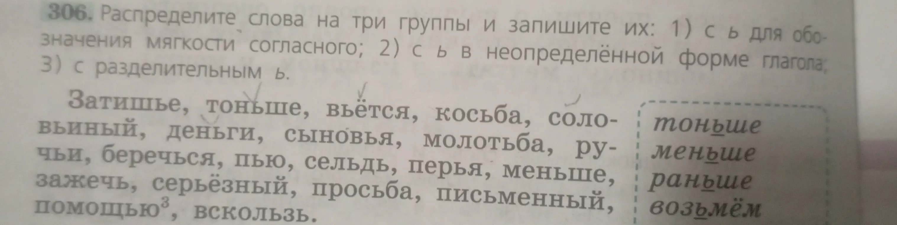 Распредели слова на три группы: с мягким знаком для обозначения мягкости согласного, с мягким знаком в неопределенной форме глагола и с разделительным мягким знаком.