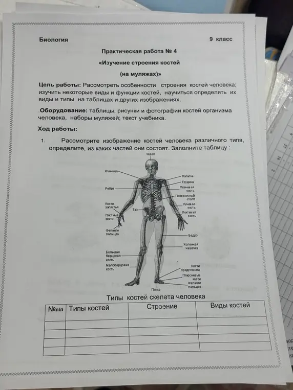 Рассмотри изображение костей человека различного типа и определи, из каких частей они состоят. Заполни таблицу.