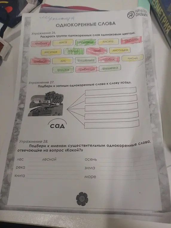 Подбери и запиши однокоренные слова к слову «сад». Подбери к именам существительным однокоренные слова, отвечающие на вопрос «Какой?»