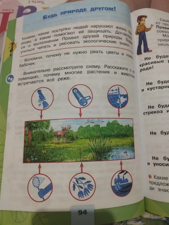 Расскажи, почему многие растения и животные встречаются всё реже.