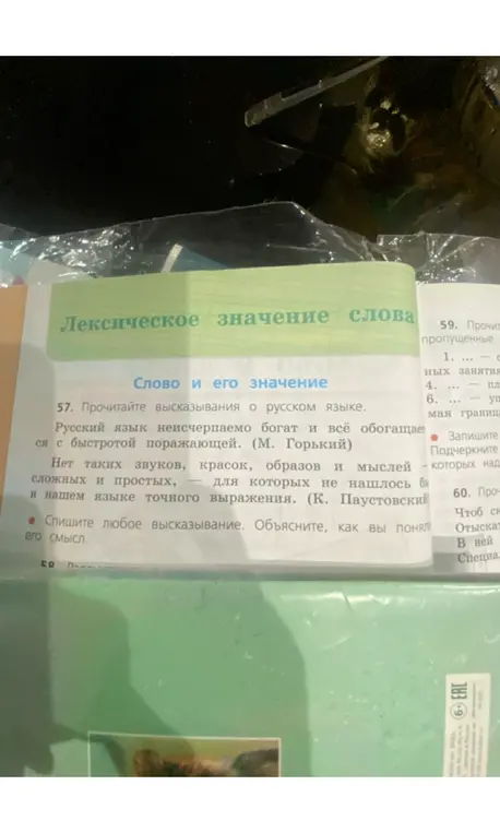 Спиши любое высказывание. Объясни, как ты понял его смысл.