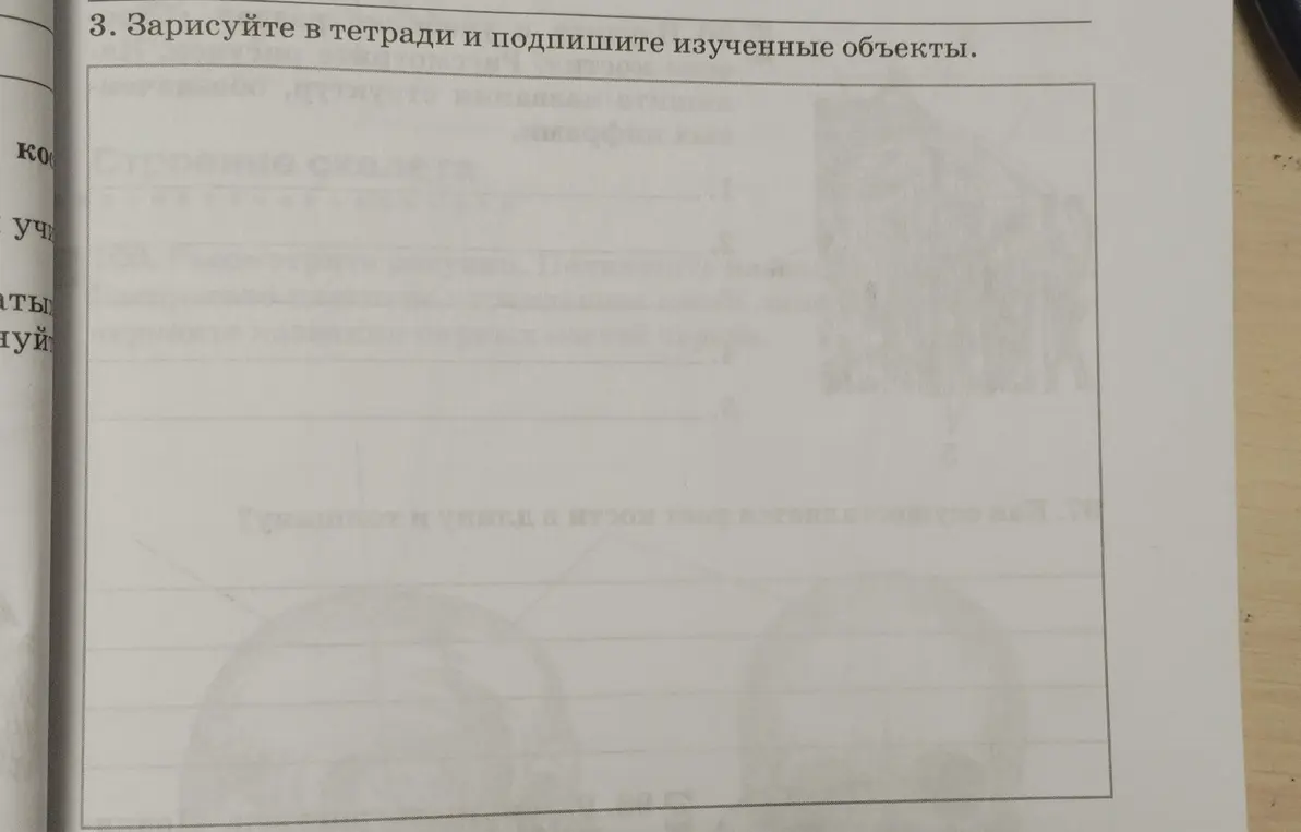 Зарисуй в тетради и подпиши изученные объекты.