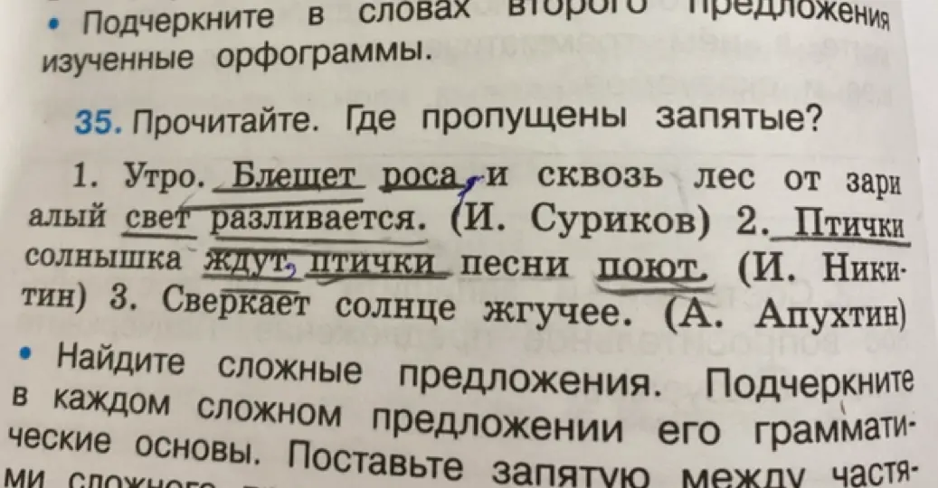 Прочитай предложения и поставь, где нужно, запятые. Найди сложное предложение, подчеркни грамматические основы.