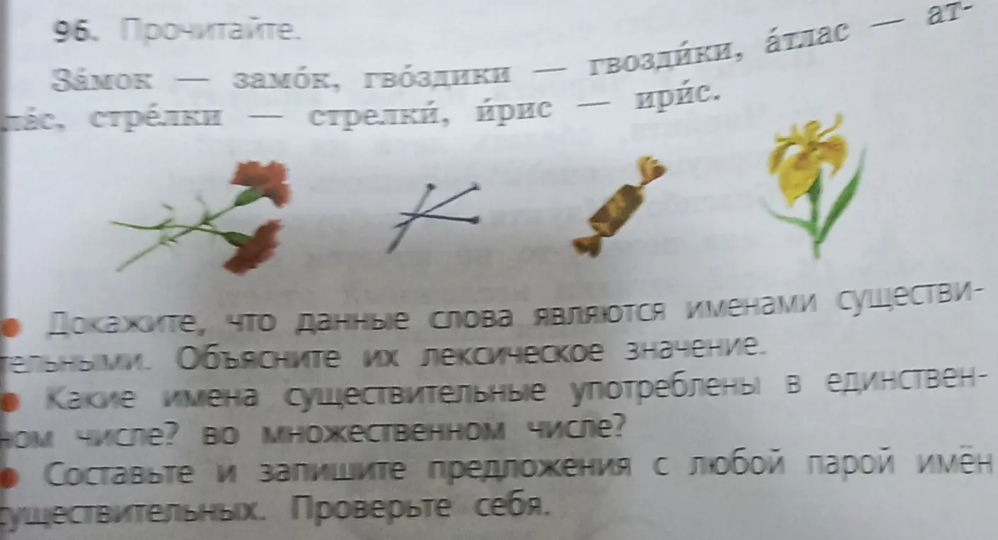 Докажи, что данные слова являются именами существительными. Объясни их лексическое значение. Какие имена существительные употреблены в единственном числе? Во множественном числе? Составь и запиши предложения с любой парой имён существительных.