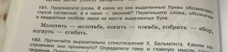 Произнеси слова. Определи, в каких из них выделенные буквы обозначают глухой согласный, а в каких — звонкий. Перепиши слова, обозначая в квадратных скобках звуки на месте выделенных букв.