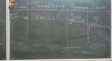Заполни таблицу про ткань, её характеристики, функции и место расположения.