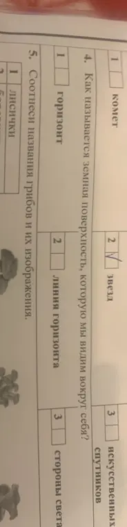 Ответь на вопрос: "Как называется земная поверхность, которую мы видим вокруг себя?", и соотнеси названия грибов и их изображения.