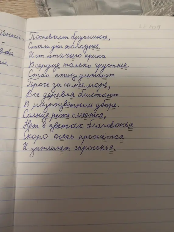 У существительных выделить падеж и склонение