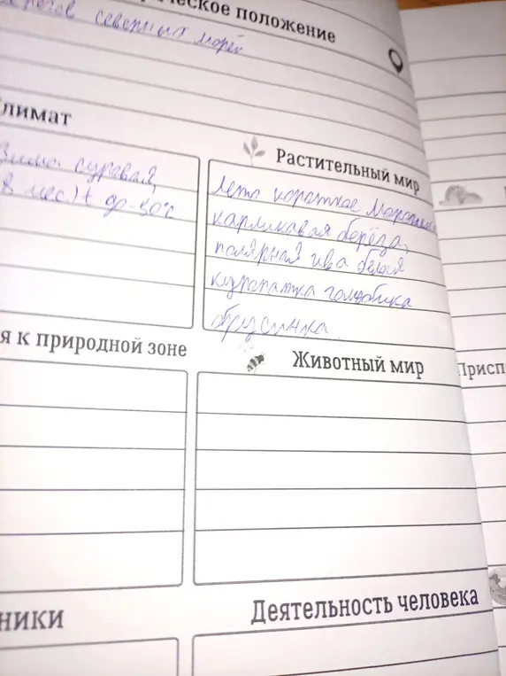 Расскажи про растительный мир