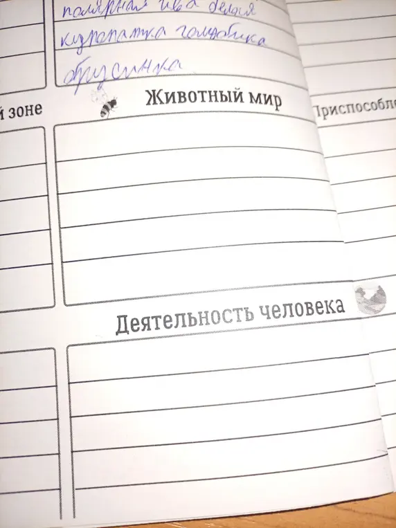 Заполни таблицу про животных в столбике «Животный мир»