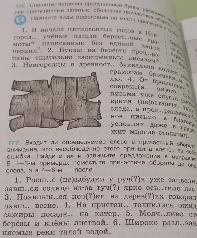 Спиши, вставляя пропущенные буквы, раскрывая скобки, расставляя пропущенные запятые, обозначая причастные обороты. Назови виды орфограмм на месте пропусков и скобок.