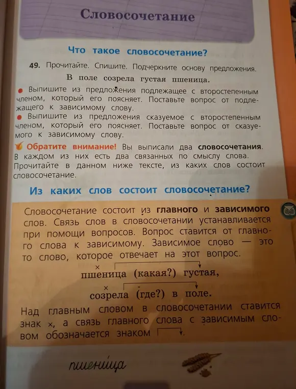 Прочитай, спиши и подчеркни основу предложения: «В поле созрела густая пшеница». Выпиши из предложения подлежащее и сказуемое с второстепенными членами, которые их поясняют, и поставь вопрос от подлежащего/сказуемого к зависимому слову.