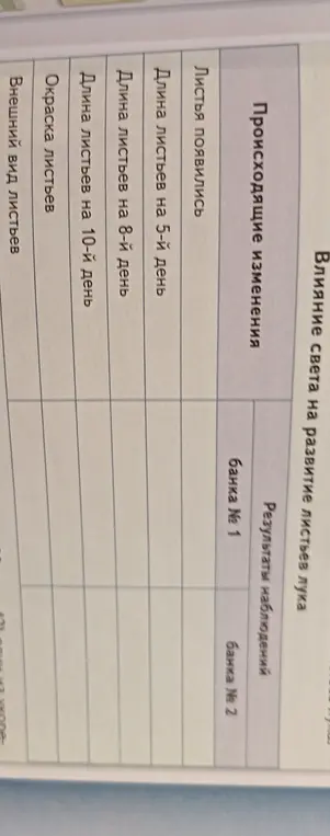 Заполни таблицу данными о росте листьев лука.