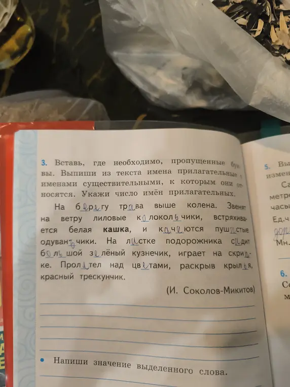 Вставь пропущенные буквы, выпиши имена прилагательные с именами существительными, укажи число имён прилагательных и напиши значение выделенного слова.