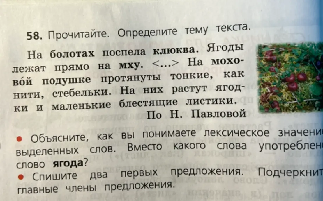 Определи тему текста, объясни лексическое значение выделенных слов и спиши два первых предложения, подчеркнув главные члены.